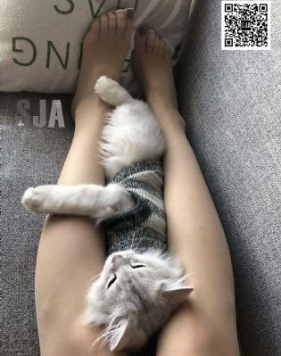 千与千寻免费完整版电影_DVD免费观看
